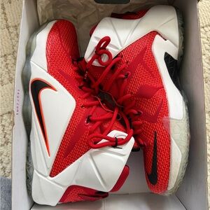 Men's LeBron 12 heart of a lion size 8.5 worn once